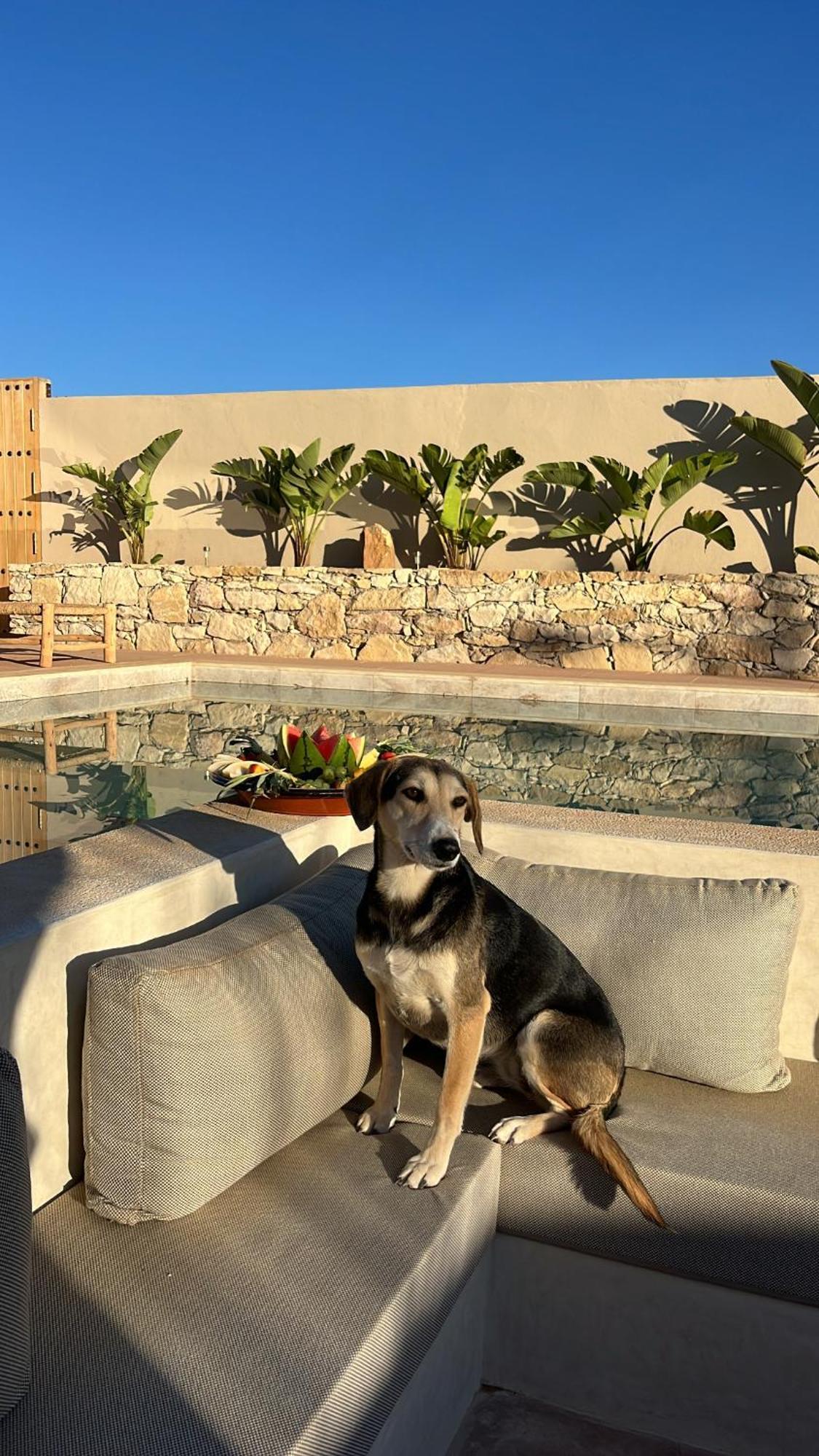 Argan House Morocco Bed & Breakfast Taghazout Exterior foto
